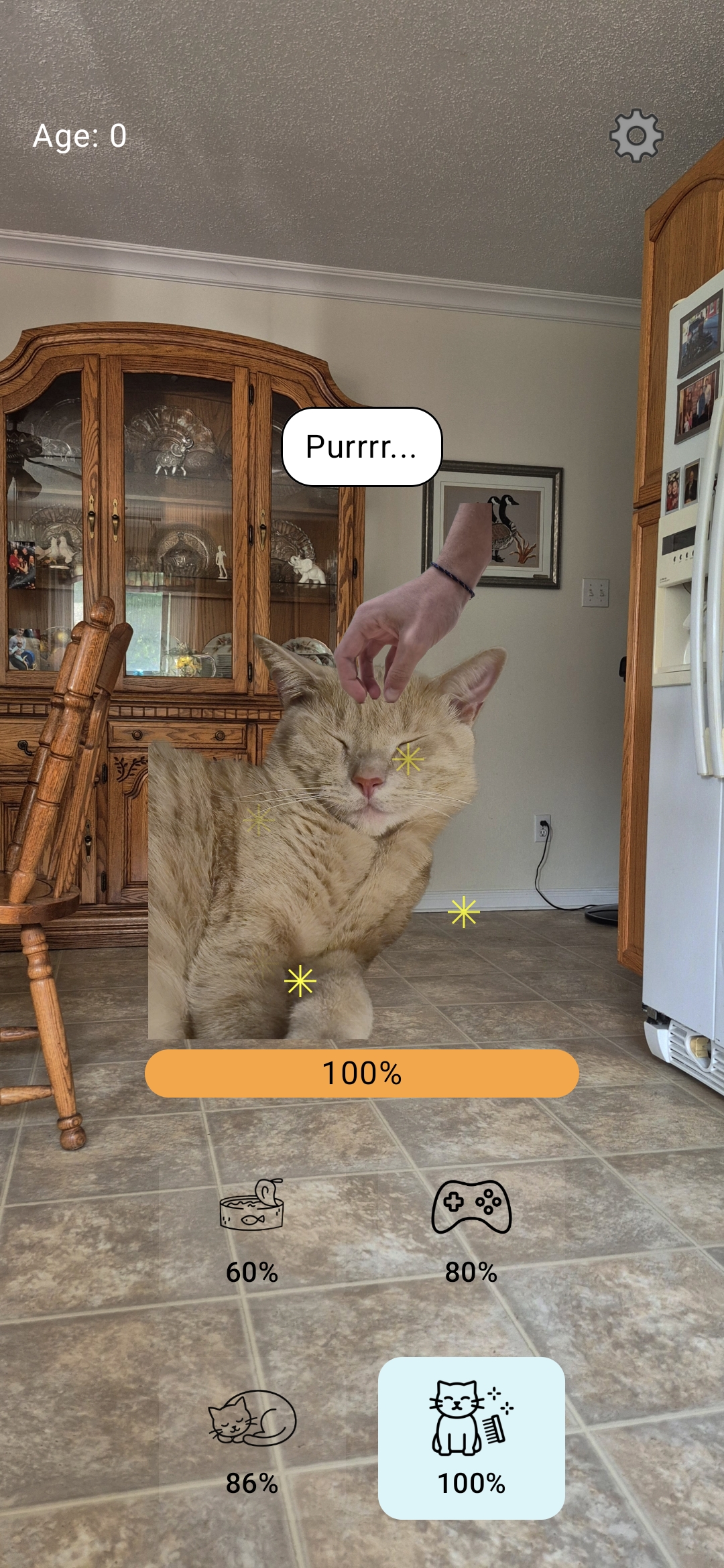 Simba app